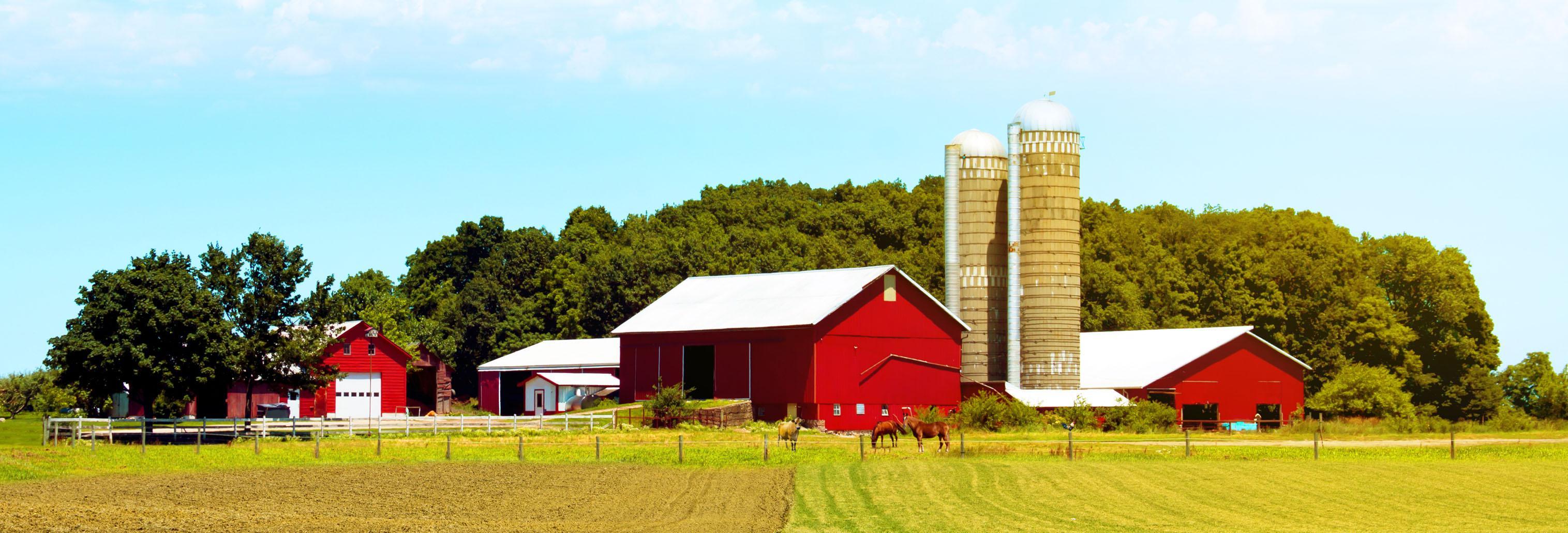 a farm with red buildings