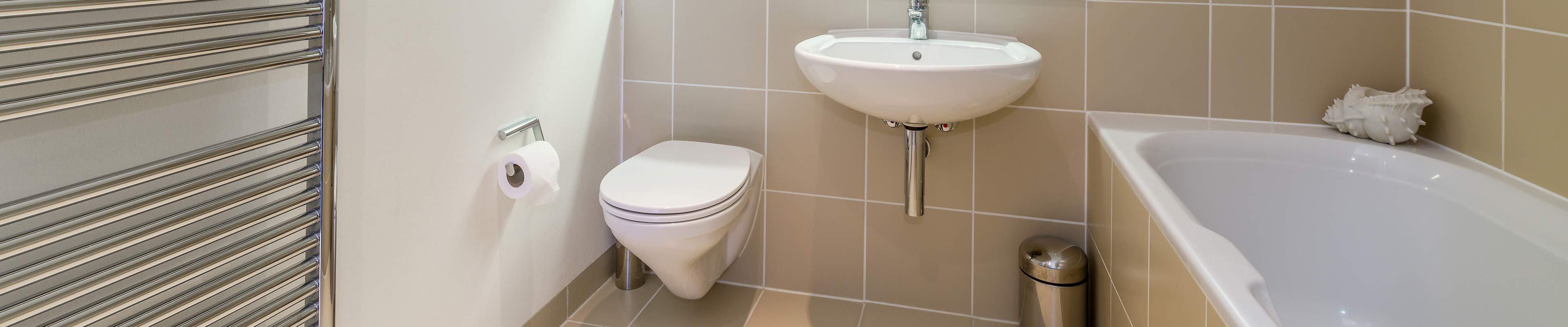 Sink and Toilet Leading to Septic System