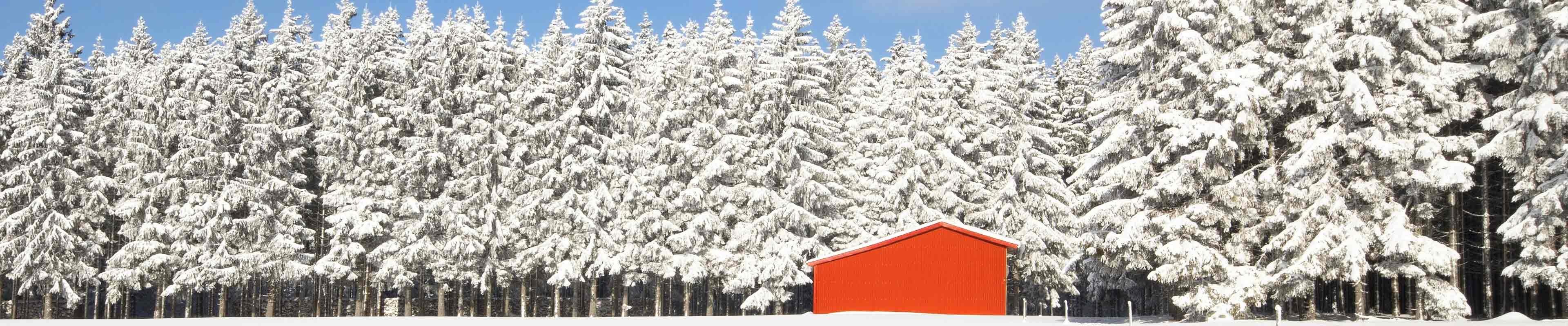 Image of an outbuilding surrounded by snow covered pine trees.