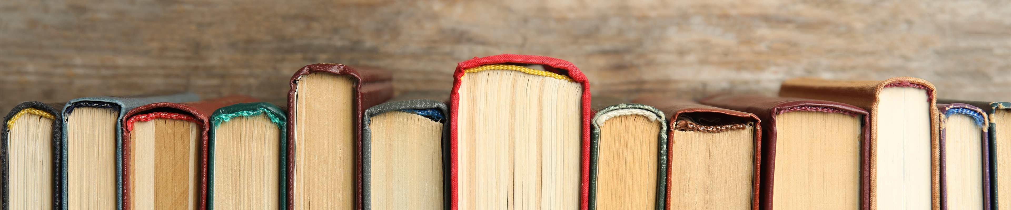 A row of books are shown with spines facing up